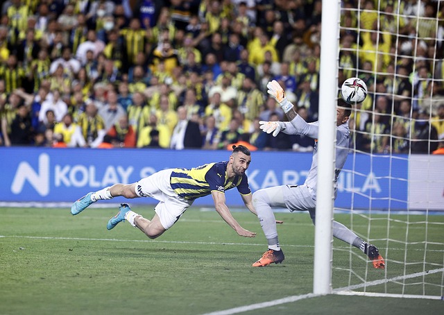 在当前的斯 在当前的斯