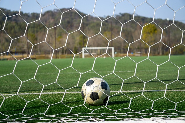 篮未来的发 篮未来的发