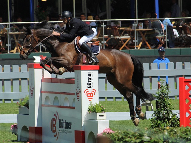 30多分钟 30多分钟