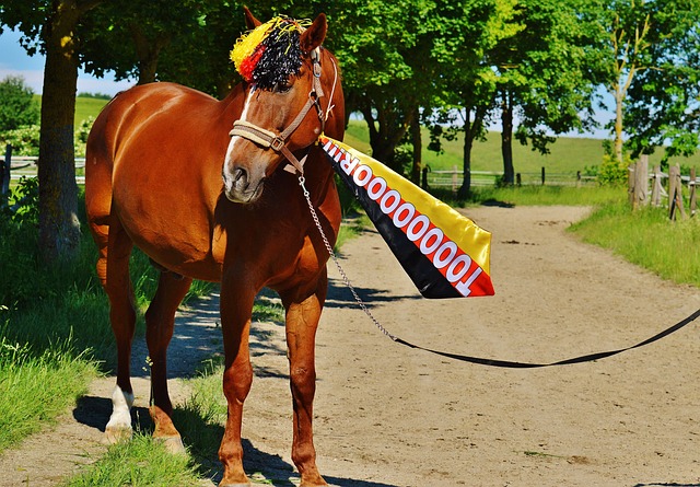 的高要求与 的高要求与