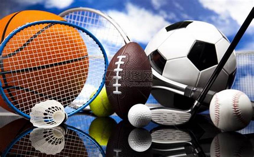 展提供了新 展提供了新